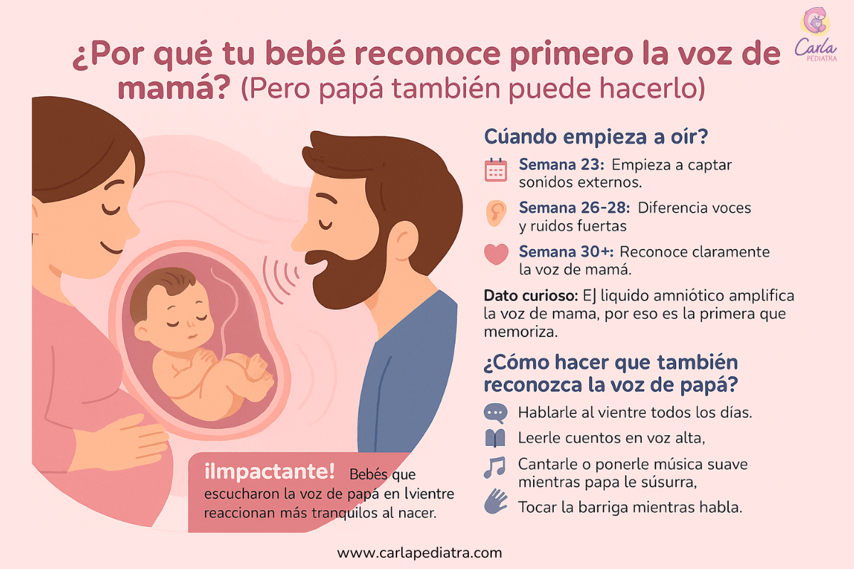 infografia del articulo de la voz de mamá carlapediatra