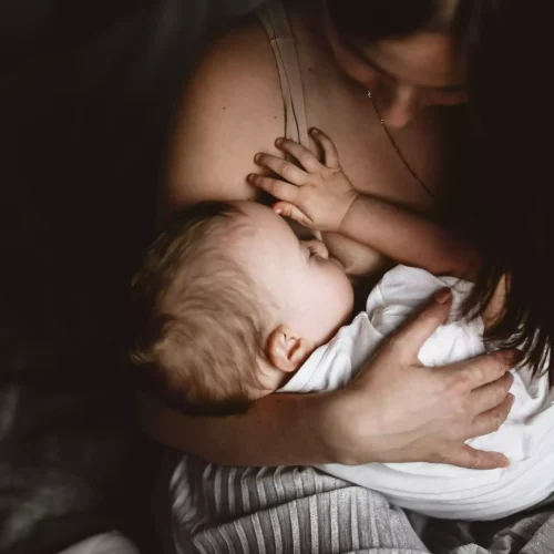 mom-brunette-breastfeeding-toddler-concept-breas-2022-11-11-06-47-09-utc